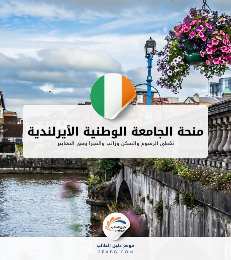 منحة الجامعة الوطنية الأيرلندية