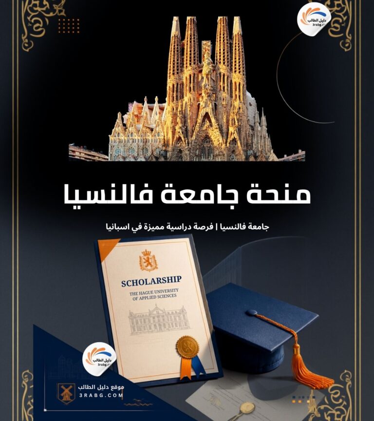 منحة جامعة فالنسيا