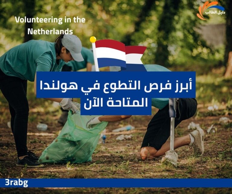 أبرز فرص التطوع في هولندا المتاحة الآن
