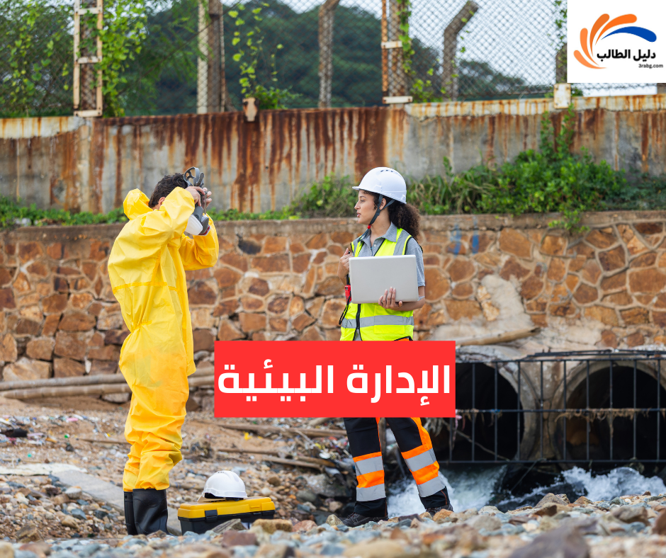الإدارة البيئية