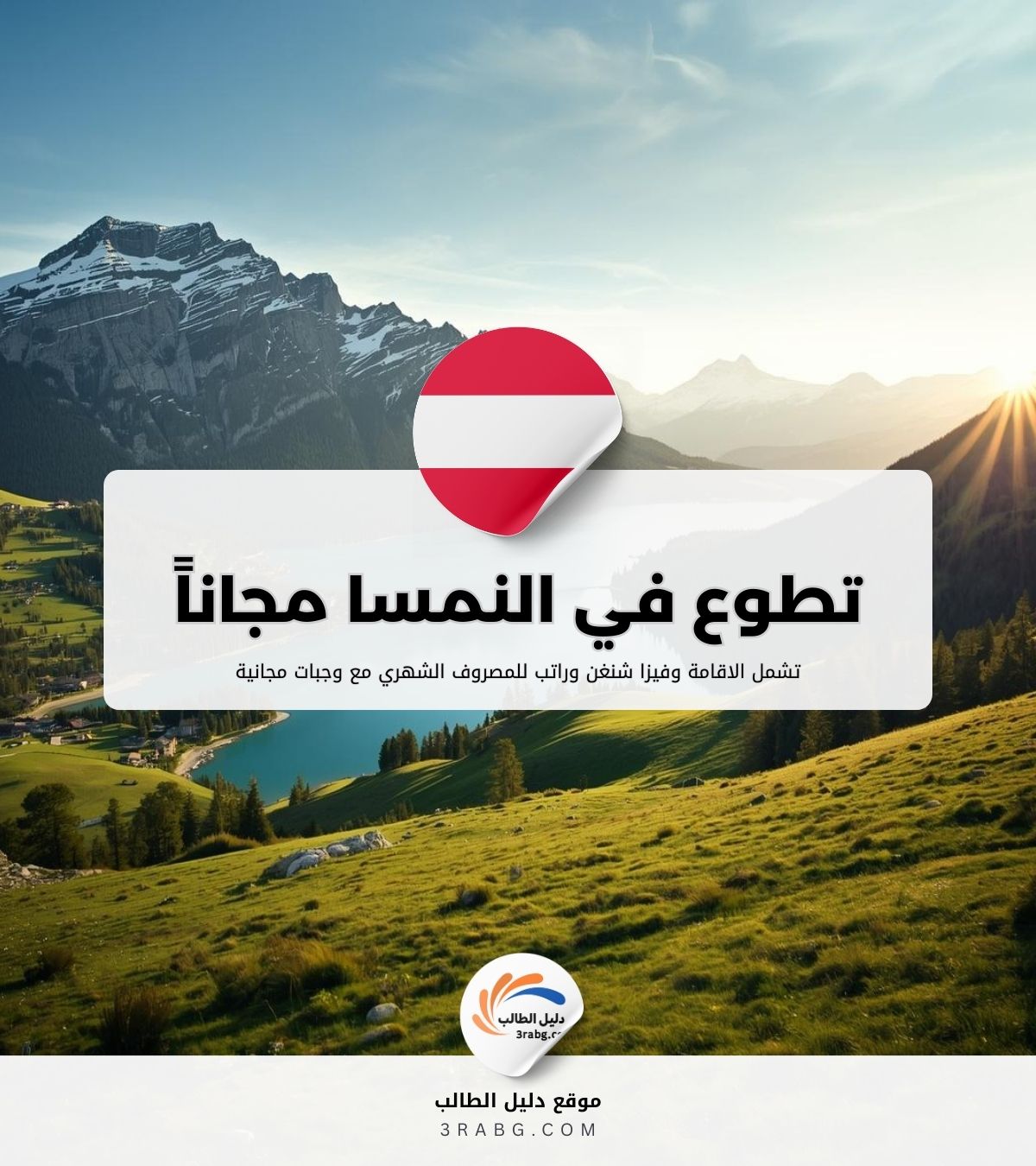 دليل التطوع في النمسا 2026 | الشروط والفرص وكيفية التقديم للمصريين والعرب