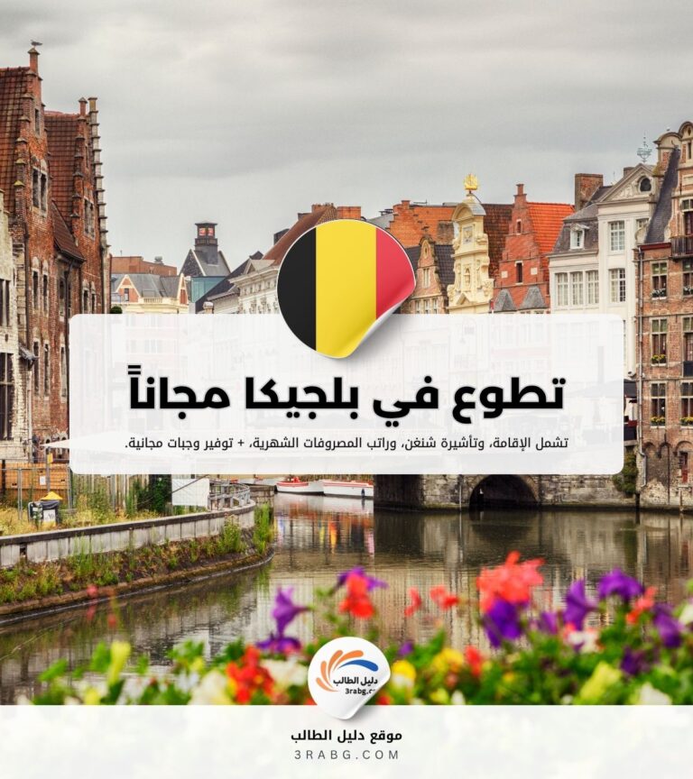 التطوع في بلجيكا