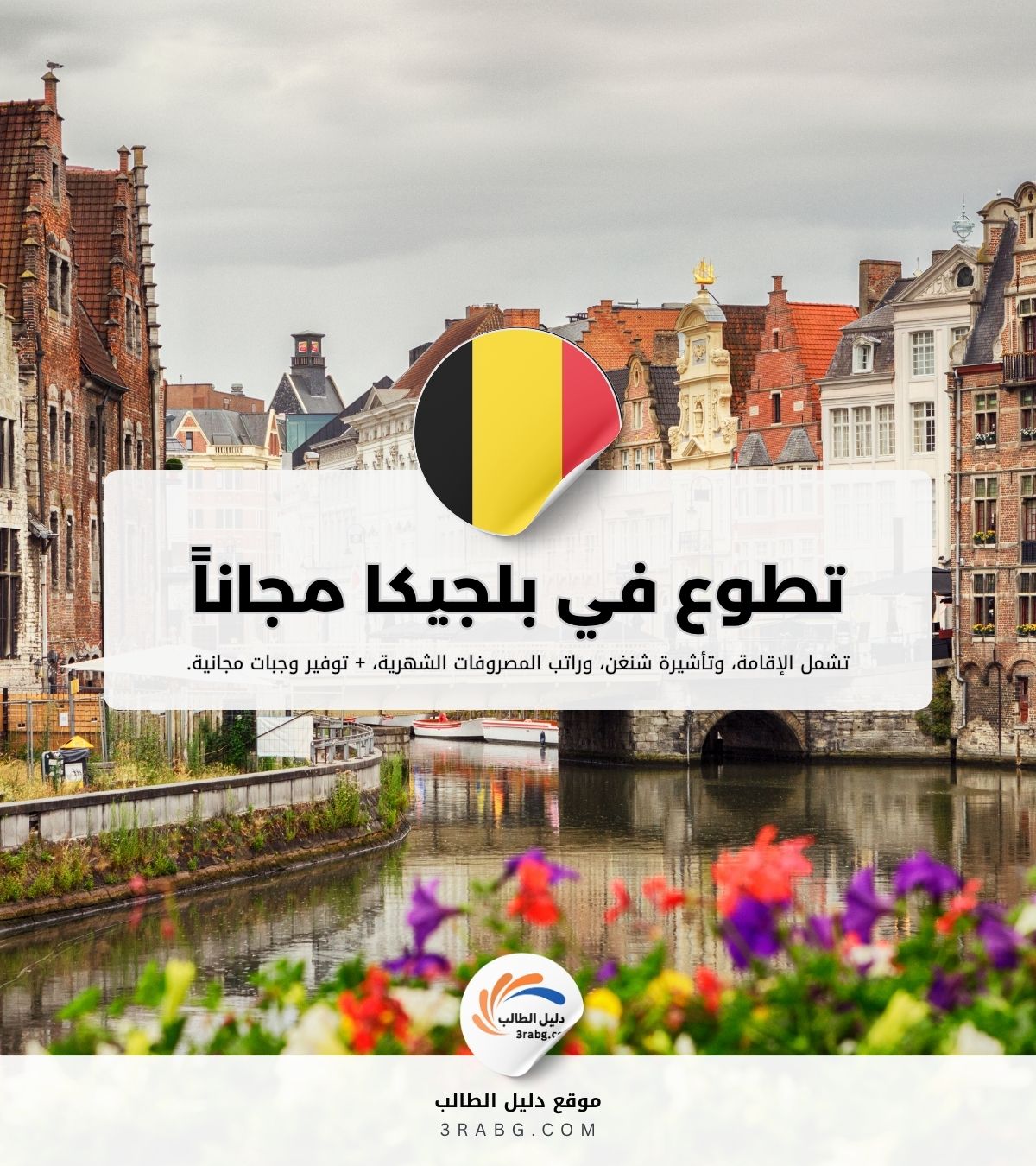 التطوع في بلجيكا