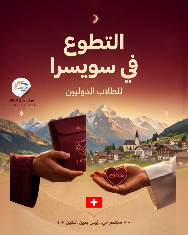 التطوع في سويسرا