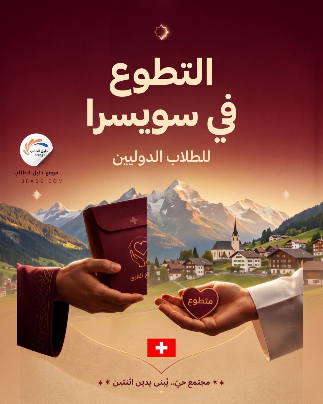 التطوع في سويسرا