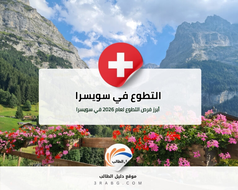 التطوع في سويسرا