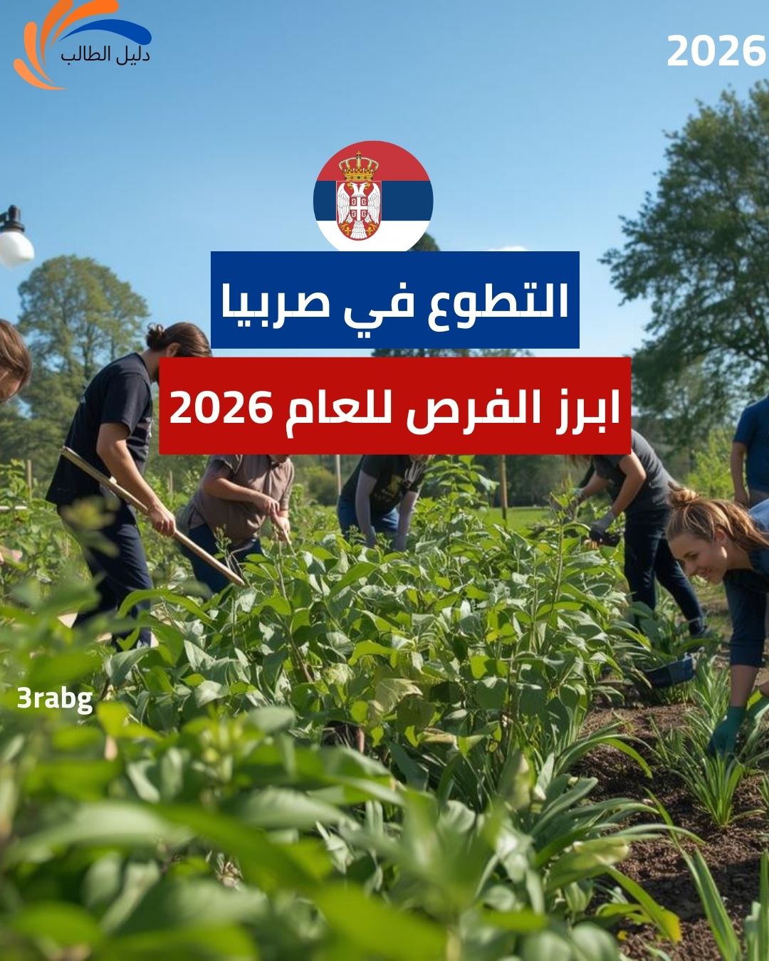 التطوع في صربيا