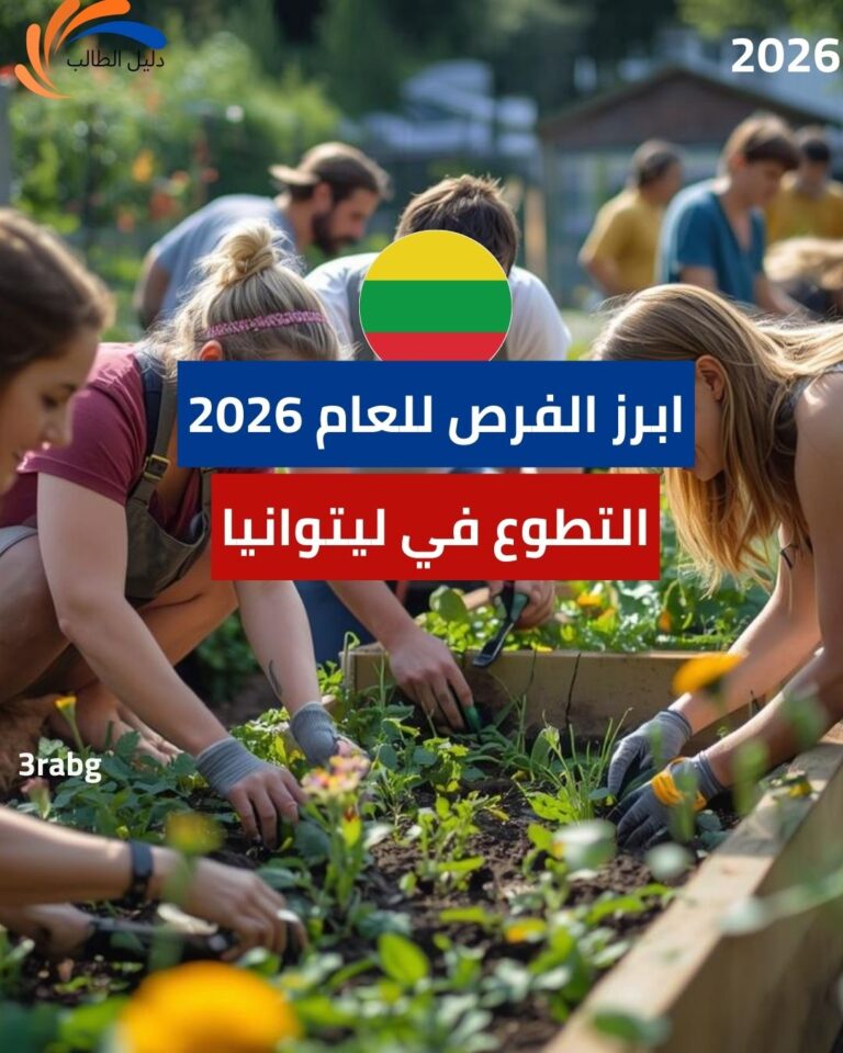 التطوع في ليتوانيا