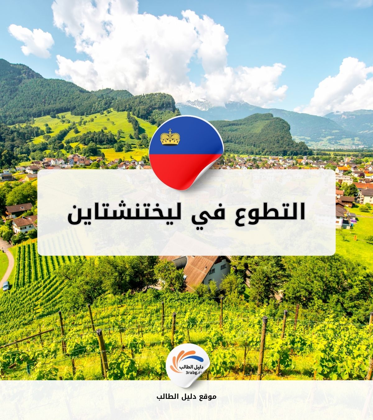 التطوع في ليختنشتاين