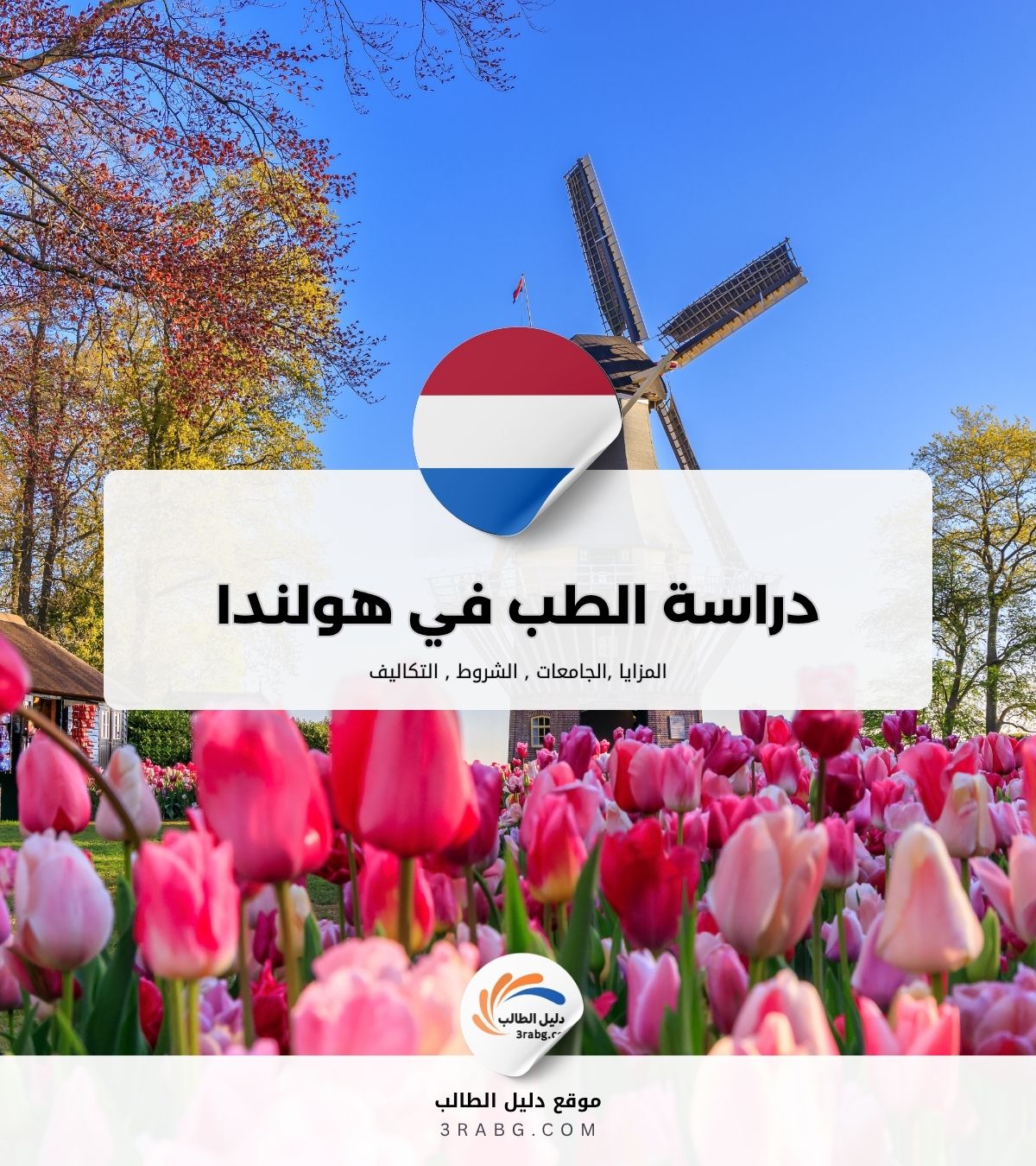 دراسة الطب في هولندا