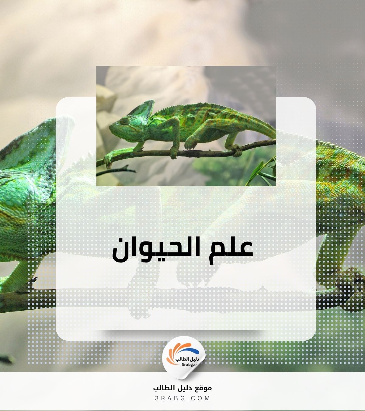 علم الحيوان