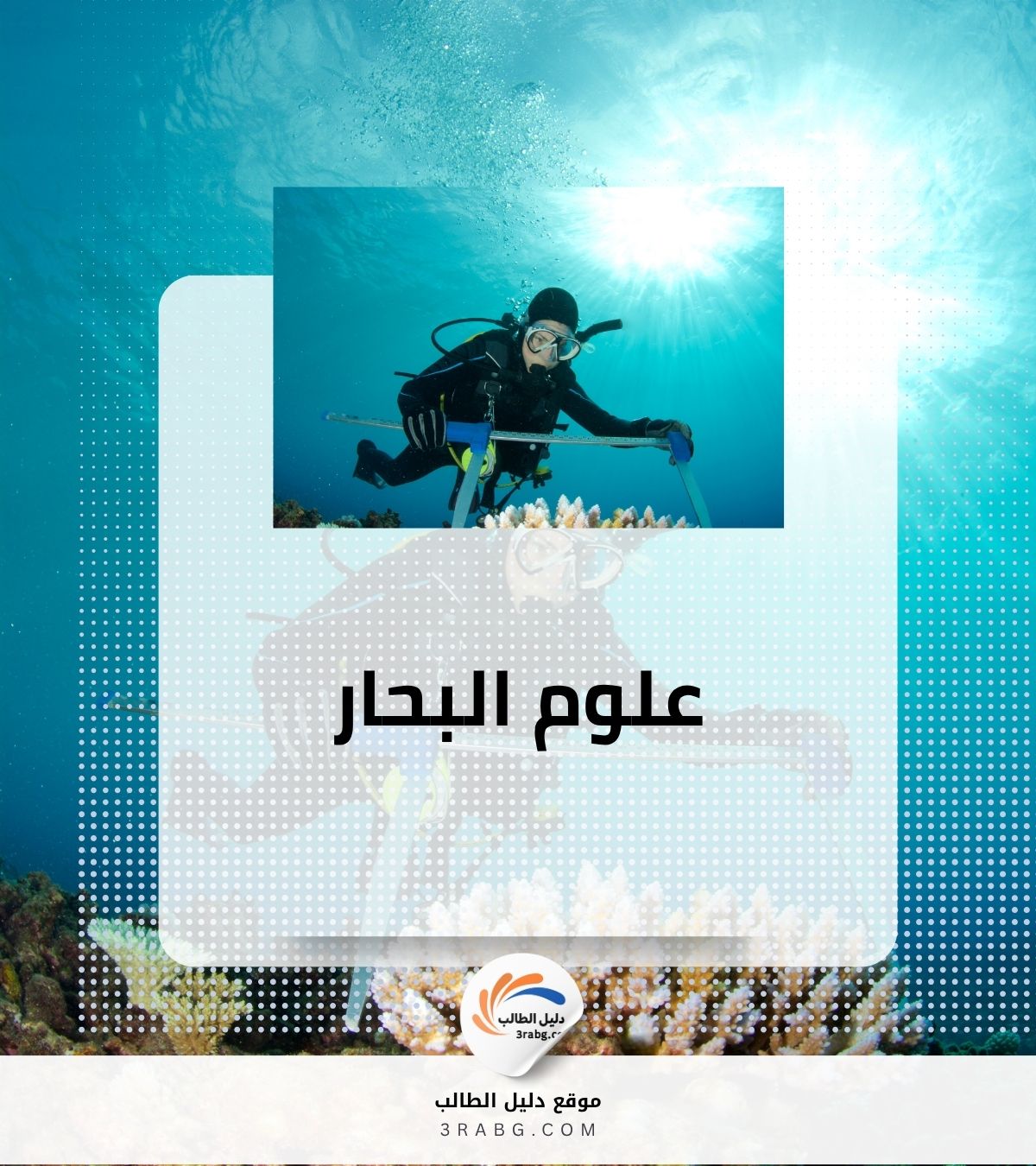 علوم البحار