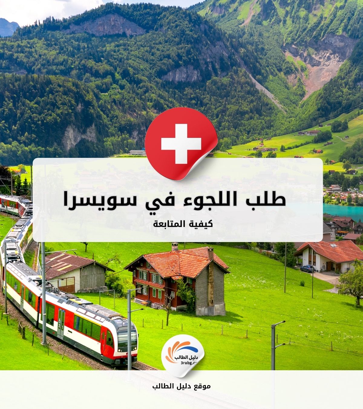 كيفية متابعة حالة طلب اللجوء في سويسرا