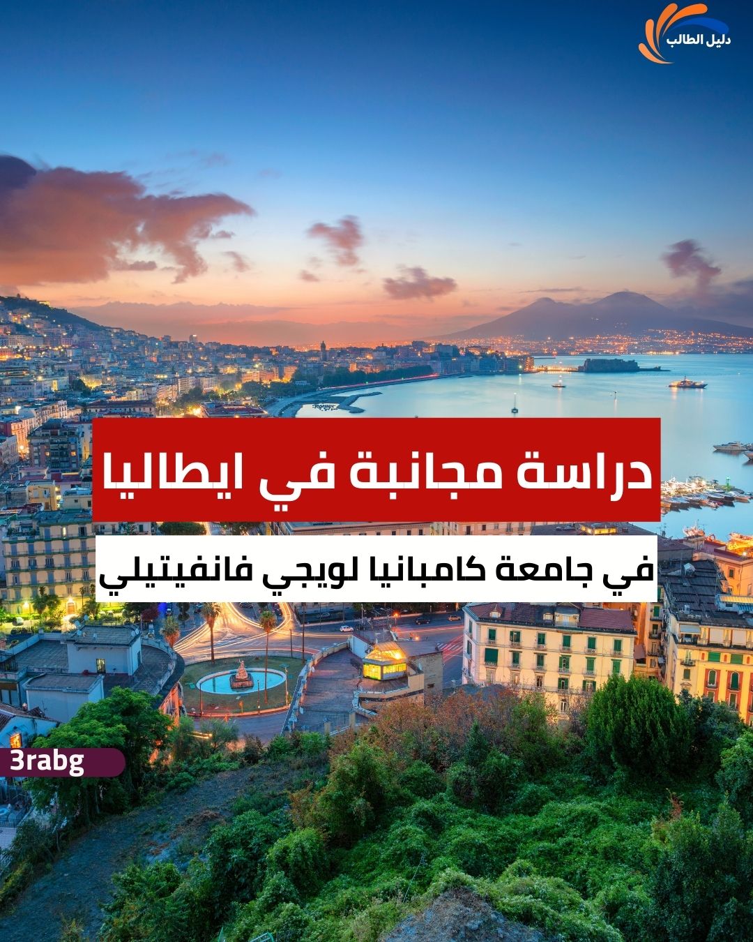 منحة جامعة كامبانيا لويجي فانفيتيلي