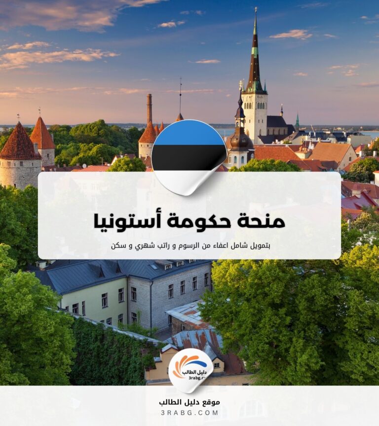 منحة حكومة أستونيا
