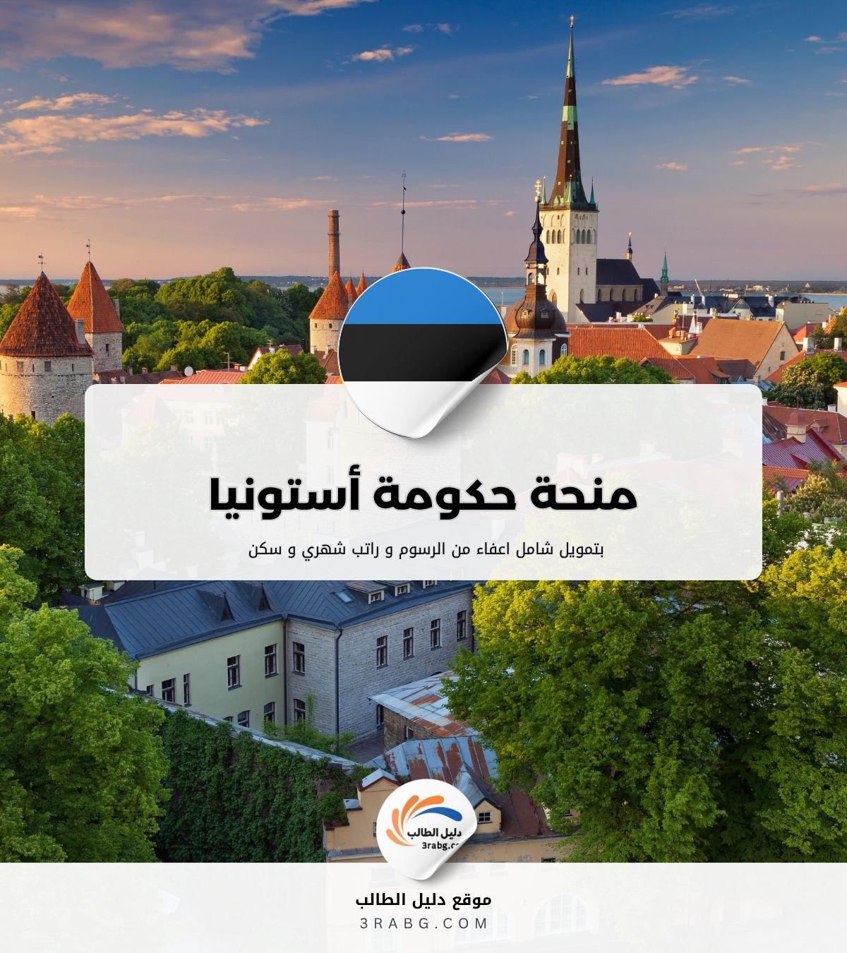 منحة حكومة أستونيا تمويل شامل ومتاحة لجميع الجنسيات
