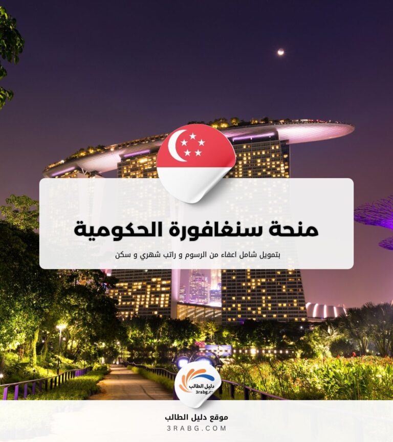 منحة سنغافورة الحكومية SINGA