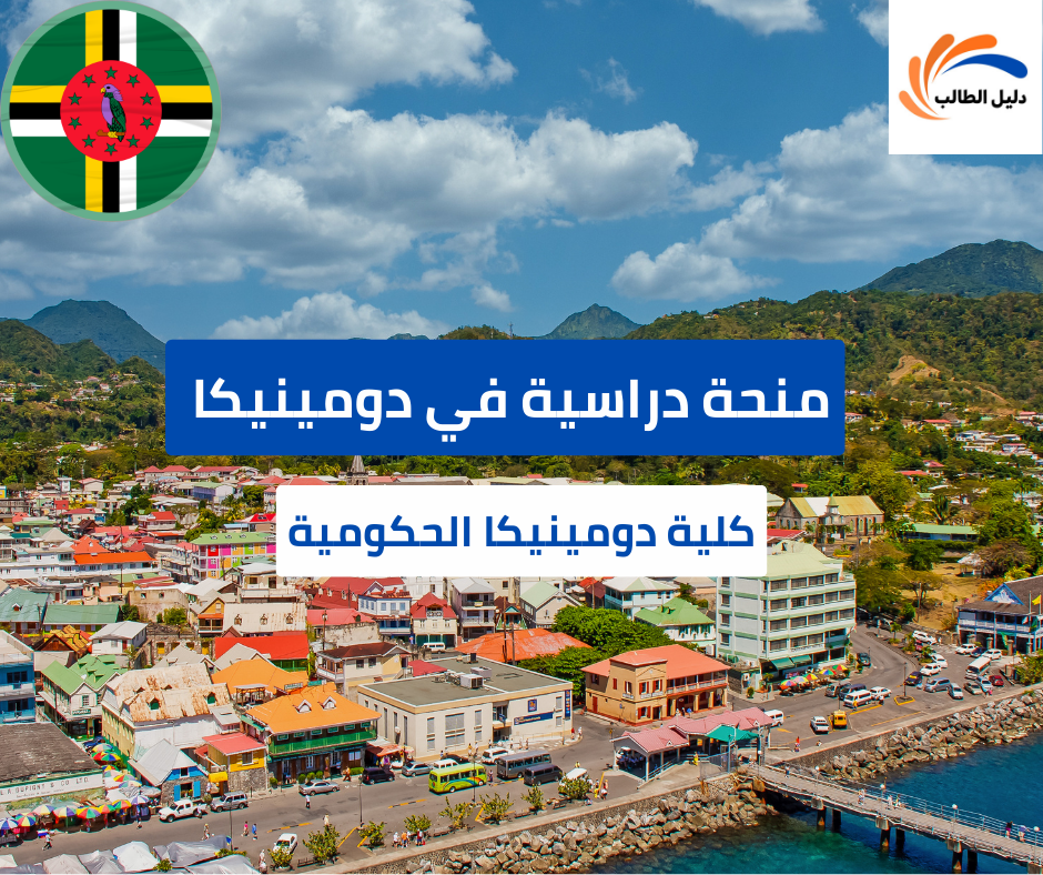 منحة كلية دومينيكا الحكومية