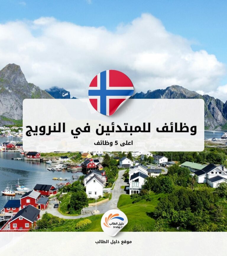 أعلى 5 وظائف للمبتدئين في النرويج