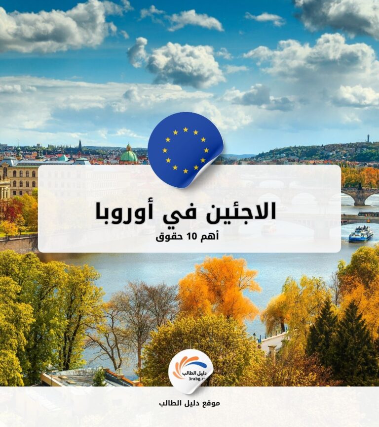 أهم 10 حقوق للاجئين في أوروبا