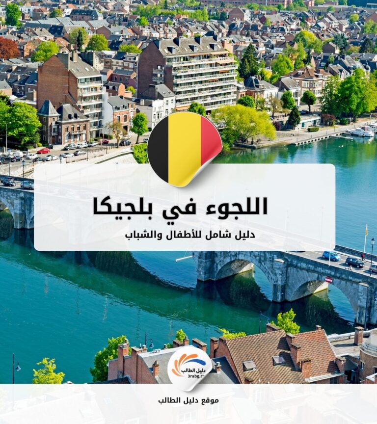 اللجوء للأطفال والشباب في بلجيكا: دليل شامل