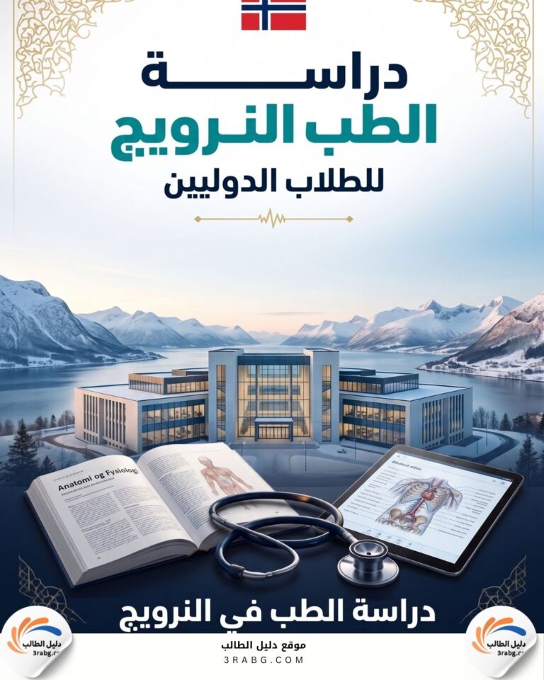 دراسة الطب في النرويج