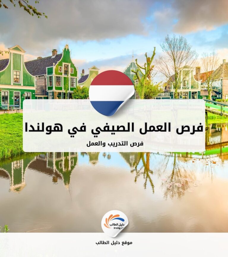 فرص التدريب والعمل الصيفي في هولندا