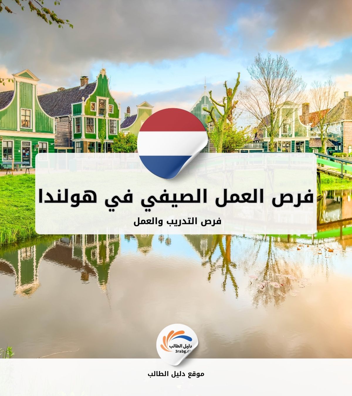 فرص التدريب والعمل الصيفي في هولندا