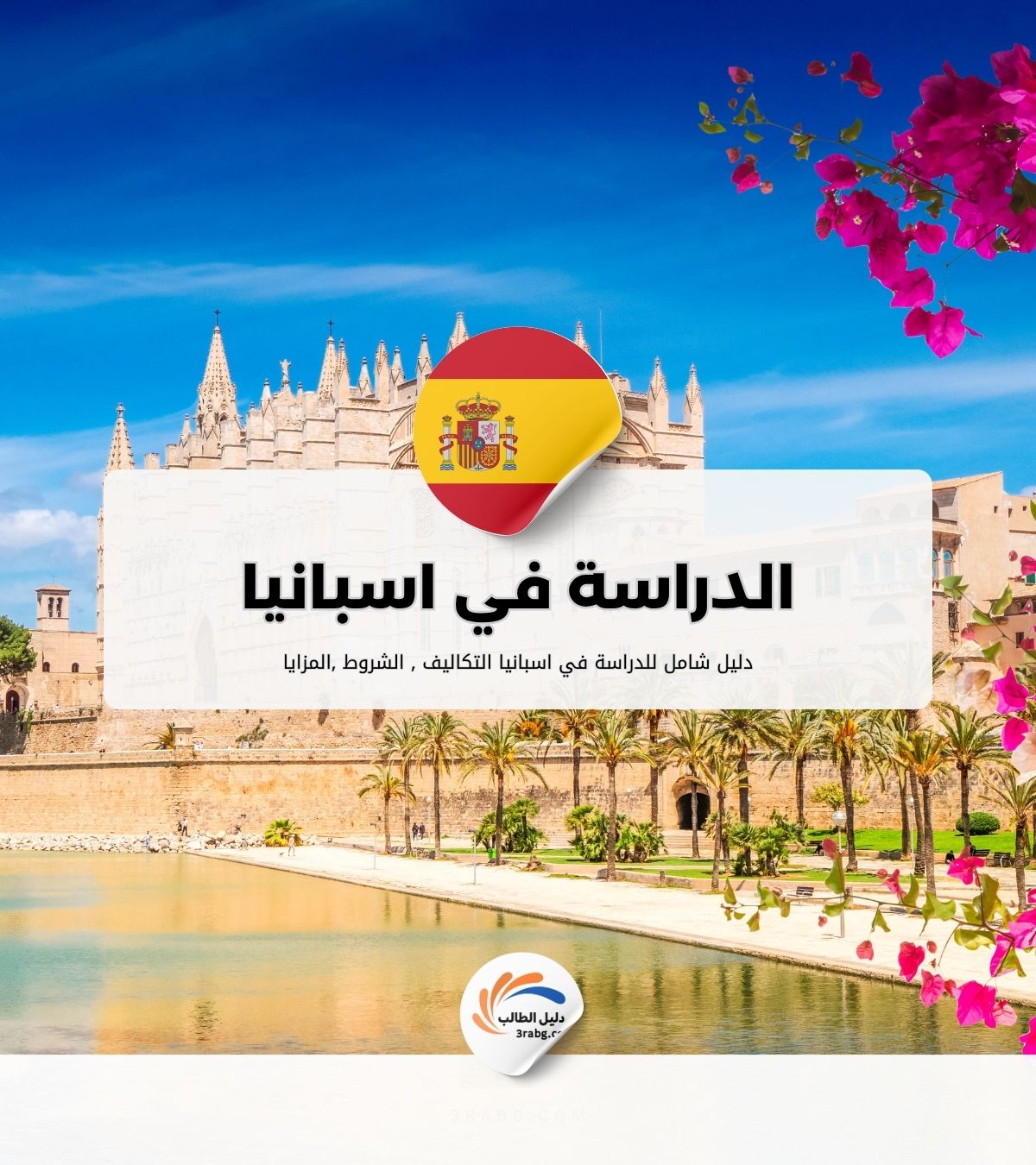 الدراسة في اسبانيا