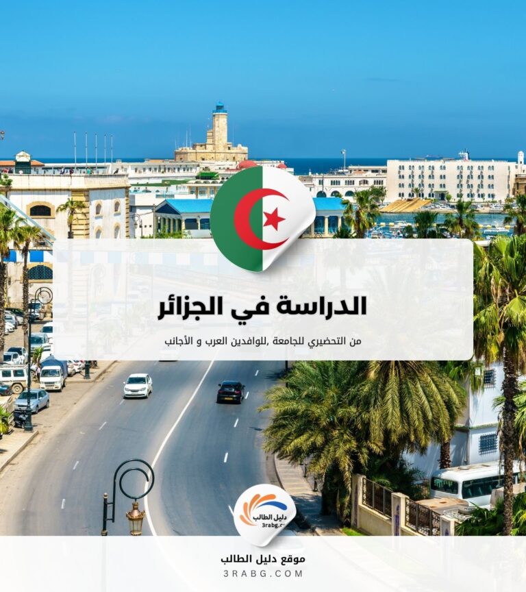 الدراسة في الجزائر من التحضيري للجامعة