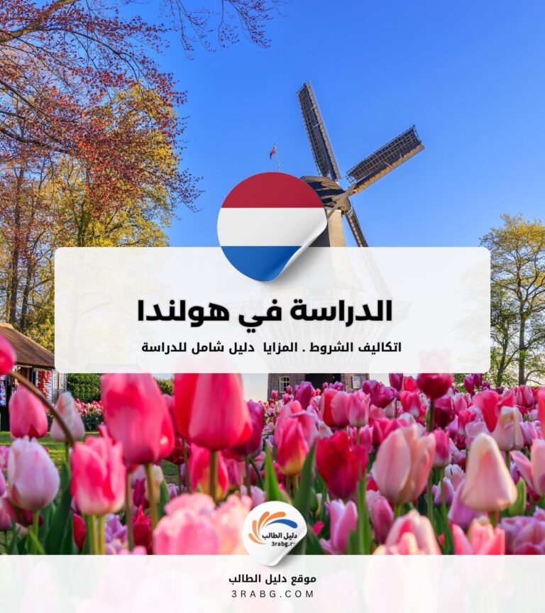 الدراسة في هولندا