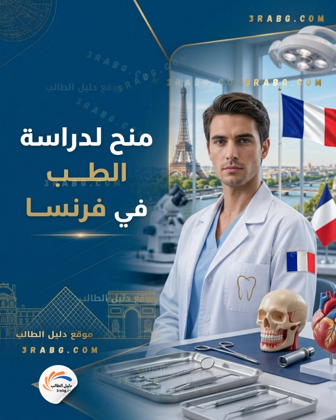 منح الطب في فرنسا | برامج صيفية وفرص طويلة الأمد