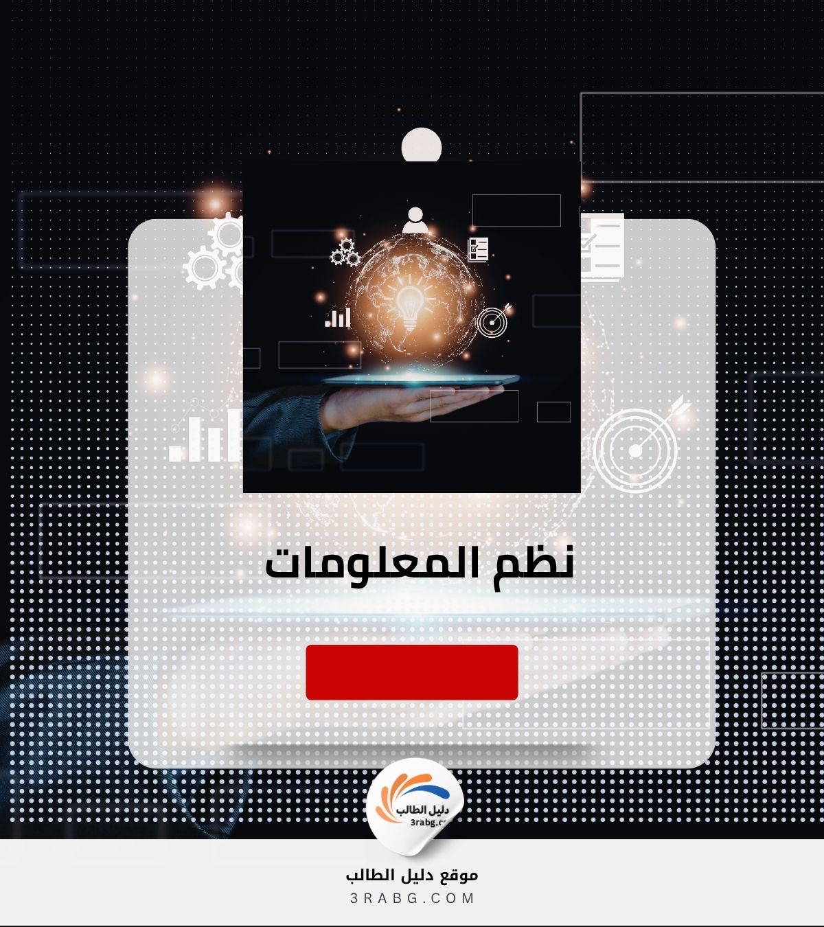 نظم المعلومات