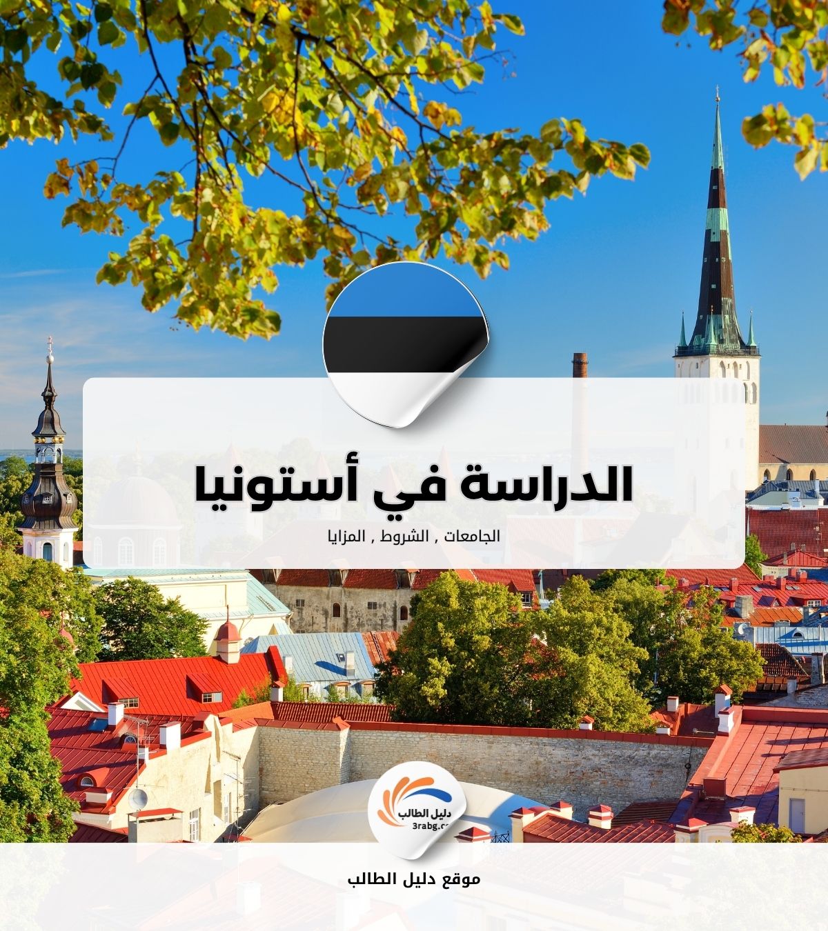 الدراسة في أستونيا