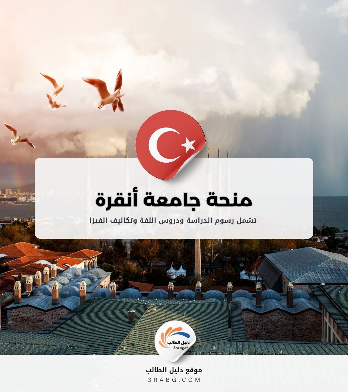 منحة جامعة أنقرة