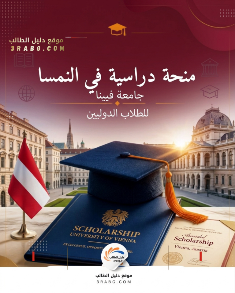 منحة جامعة فيينا كل ما تريد معرفته للطلاب الدوليين