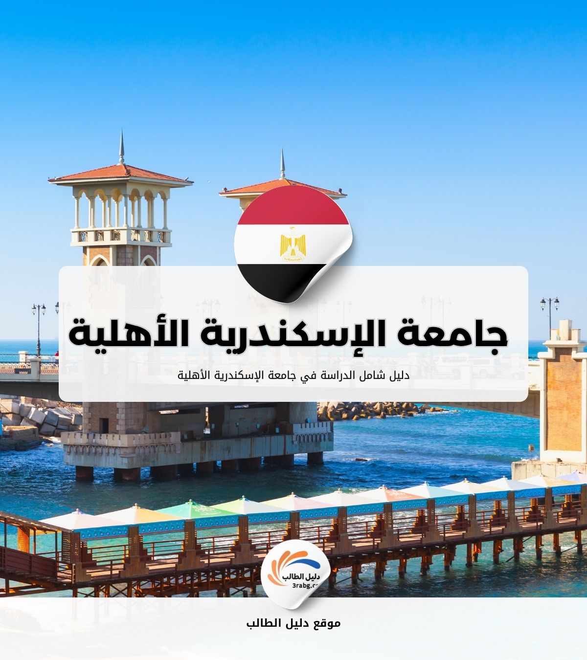الدراسة في جامعة الإسكندرية الأهلية