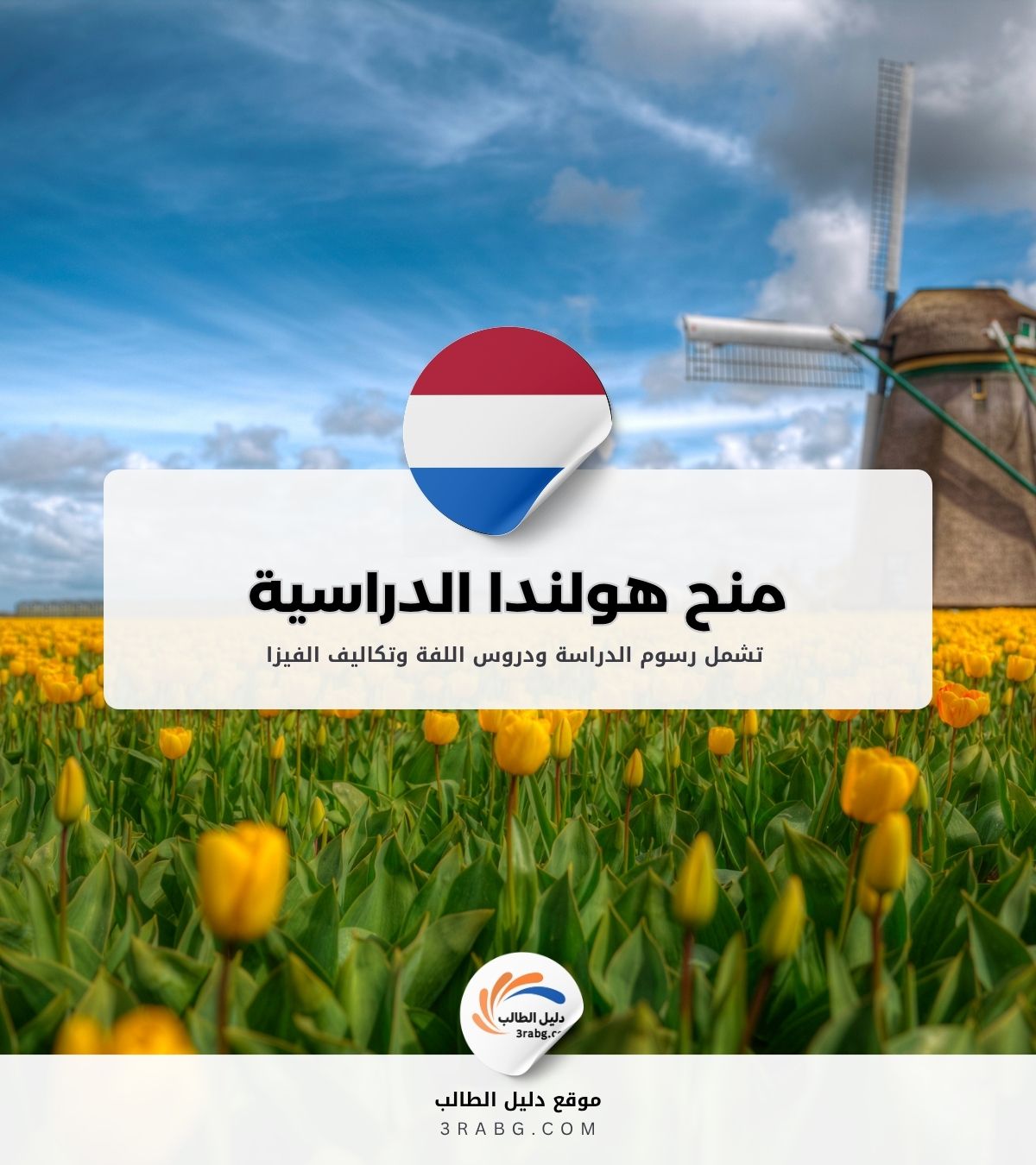 منح هولندا الدراسية