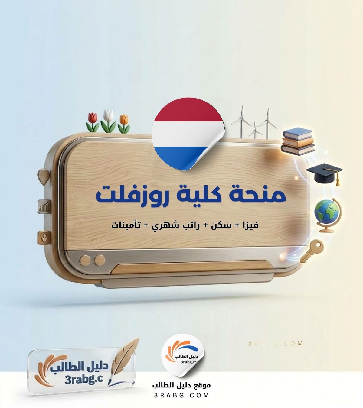منحة كلية روزفلت في هولندا
