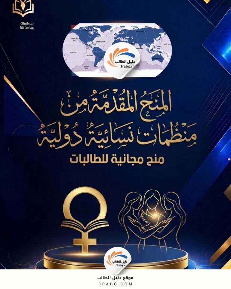المنح المقدمة من منظمات نسائية دولية