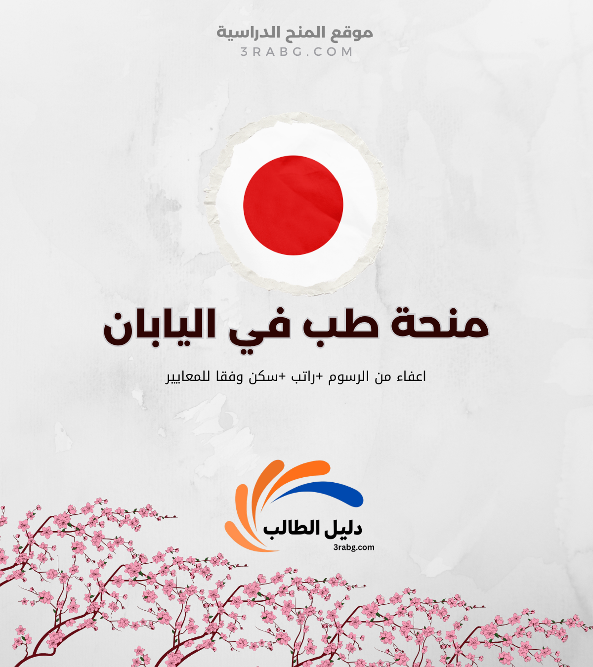 دراسة الطب في اليابان