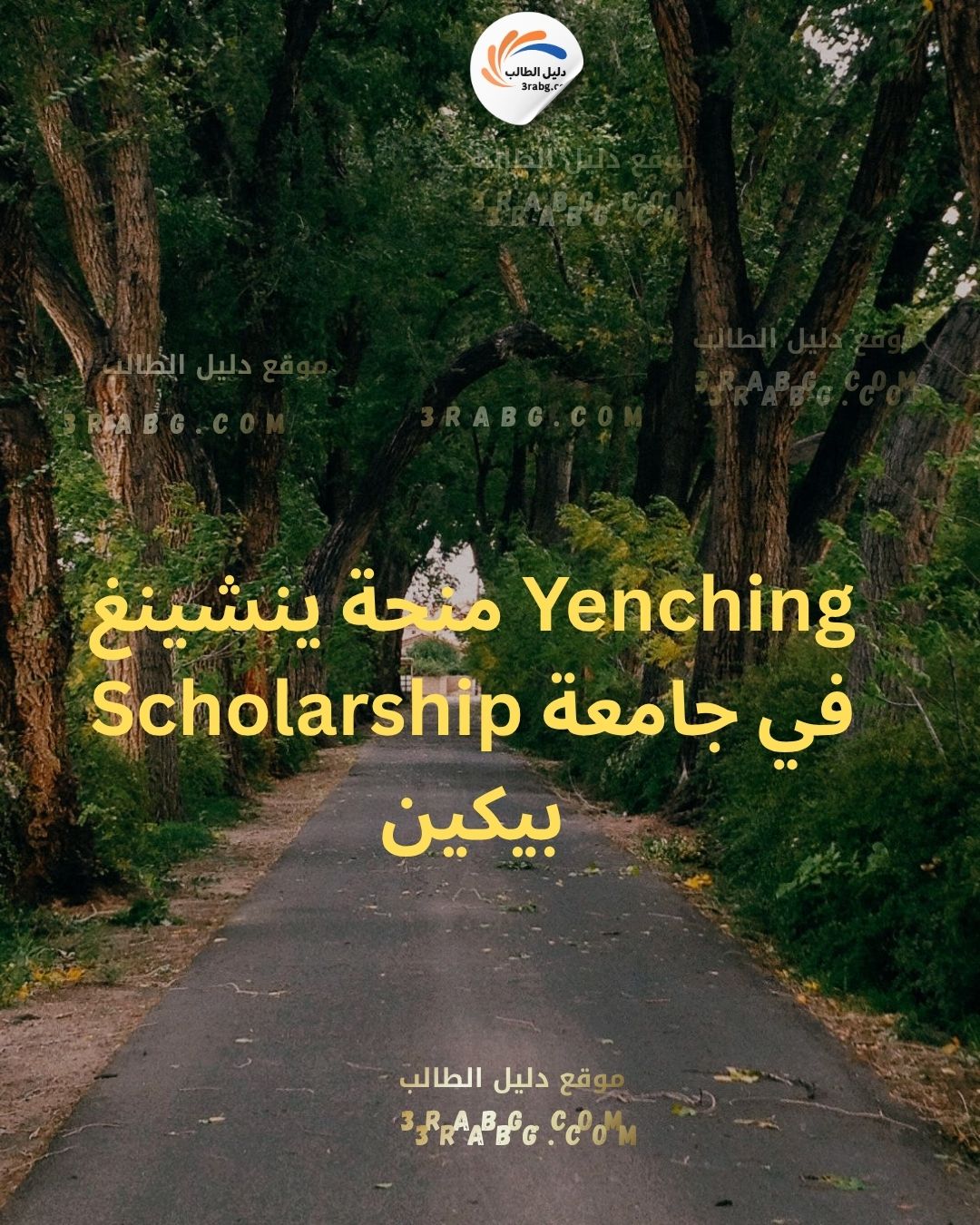 منحة ينشينغ Yenching Scholarship في جامعة بيكين