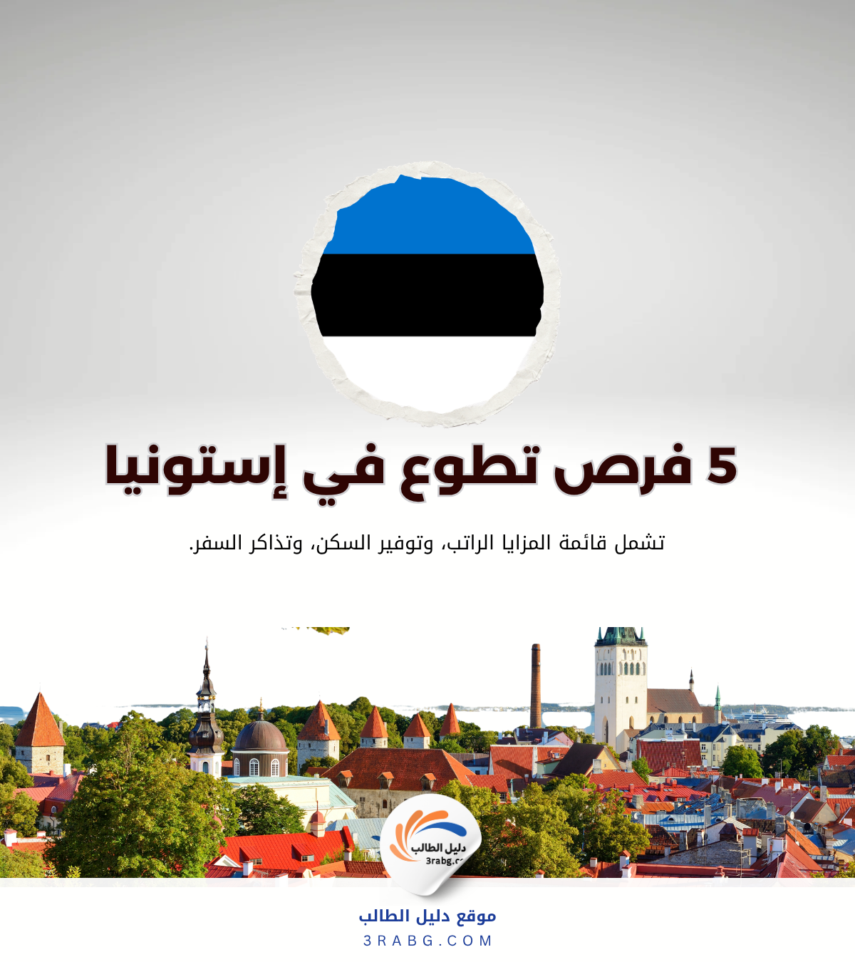 أفضل 5 فرص تطوع في إستونيا مع سكن ومصروف شهري