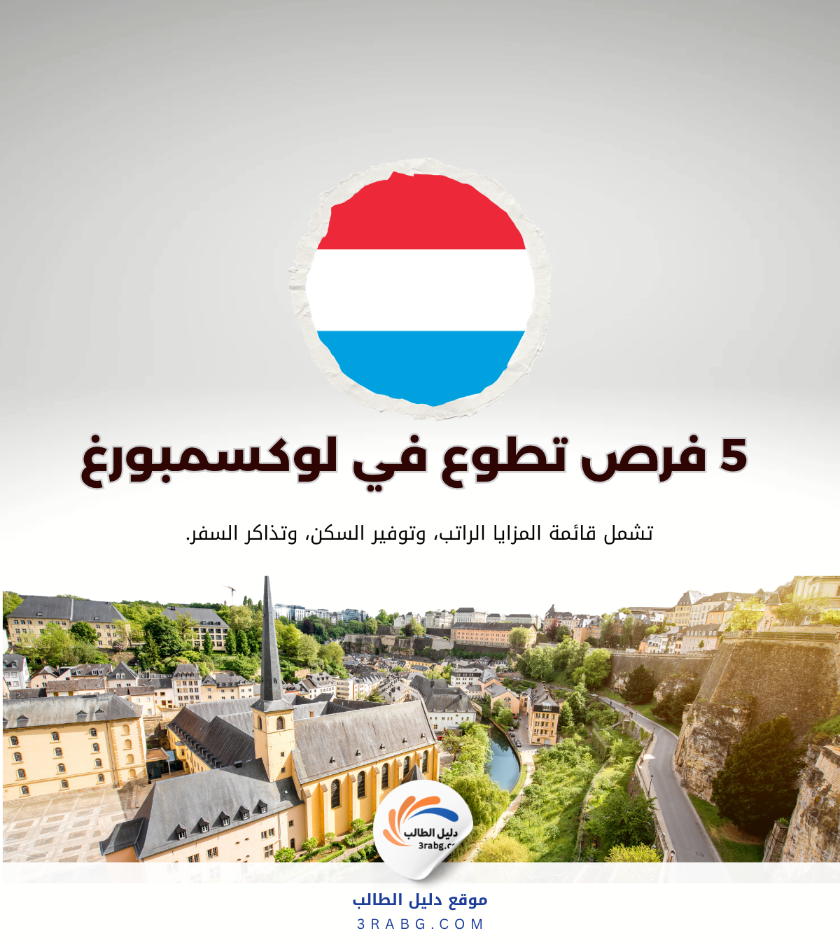 أفضل 5 فرص تطوع في لوكسمبورغ مع سكن ومصروف شهري