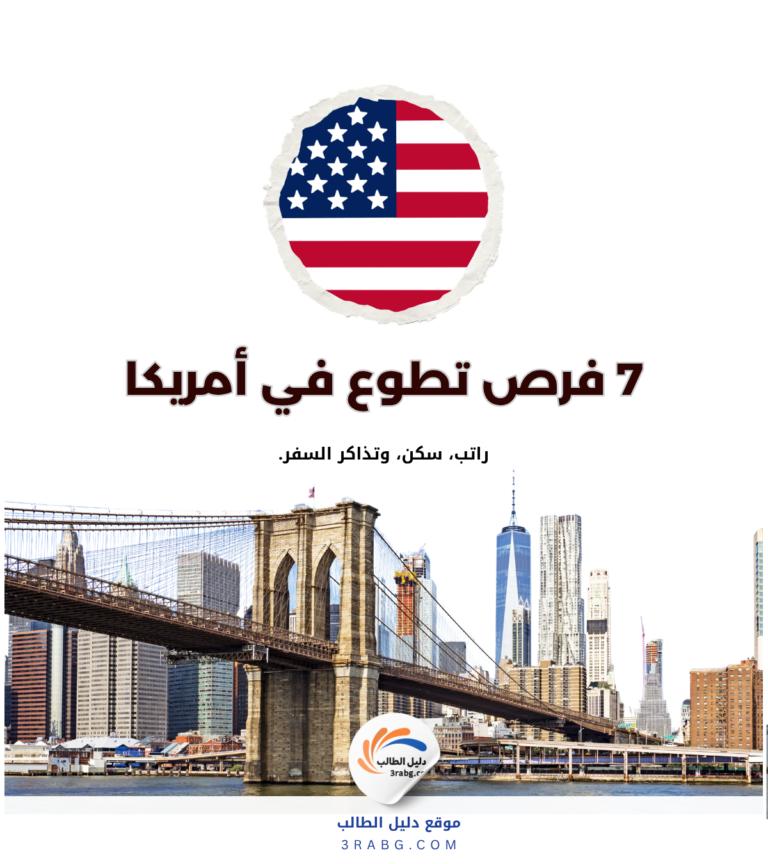 أفضل 7 فرص تطوع في أمريكا: الشروط وطريقة التقديم