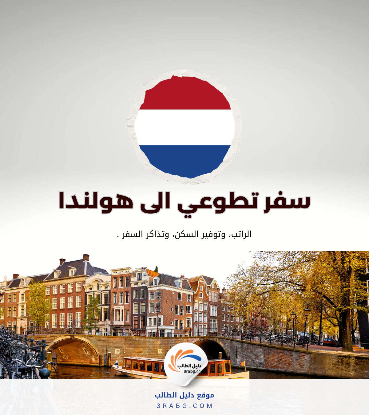 التطوع في هولندا للعرب: السكن والفيزا وأبرز الفرص المتاحة الآن